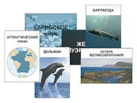 Модель-аппликация "Океаны. Знакомство" (ламинированная) - fgospostavki.ru - Хабаровск