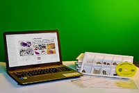 Коллекция натурально-интерактивная "Кварц в природе" - fgospostavki.ru - Хабаровск