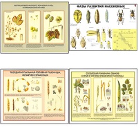 Плакаты ПРОФТЕХ "Вредители и болезни с/х культур и меры борьбы с ними" (11 пл, винил, 70х100) - fgospostavki.ru - Хабаровск