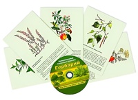 Интерактивный наглядный комплекс "Гербарий "Для начальной школы" - fgospostavki.ru - Хабаровск