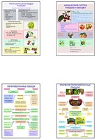 Плакаты ПРОФТЕХ "Классификация овощей и переработка" (8 пл, винил, 70х100) - fgospostavki.ru - Хабаровск