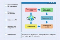 Интерактивные курсы. Информатика 10 класс . Базовый. - fgospostavki.ru - Хабаровск