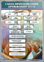 Стенд "Схема приготовления дрожжевого теста" - fgospostavki.ru - Хабаровск