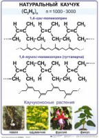 Комплект демонстрационных таблиц по химии "Полимеры" (комплект 12 таблиц) - fgospostavki.ru - Хабаровск