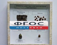Коллекция энтомологическая "Примеры защитных приспособлений у насекомых" - fgospostavki.ru - Хабаровск