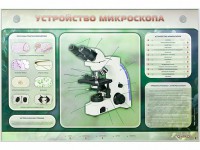 Электрифицированный стенд "Устройство микроскопа и правила работы c ним" - fgospostavki.ru - Хабаровск
