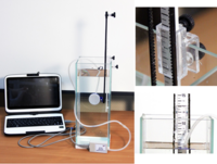 Набор демонстрационный «Гидростатика и плавание тел» - fgospostavki.ru - Хабаровск