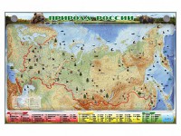 Электронно-информационный (маркерный) стенд "Природа России" - fgospostavki.ru - Хабаровск