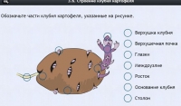 Интерактивные курсы. Биология 6 класс. Расширенный - fgospostavki.ru - Хабаровск