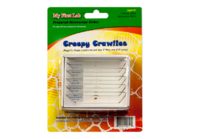 Набор микропрепаратов для микроскопа №2 «Насекомые» - fgospostavki.ru - Хабаровск