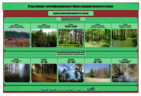 Стенд-планшет электрифицированный «Оценка пожарной опасности в лесах»  - fgospostavki.ru - Хабаровск