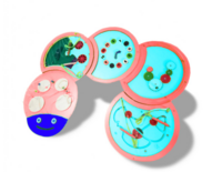 Тактильно-развивающая панель «Гусеница» - fgospostavki.ru - Хабаровск