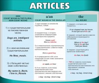 Стенд "Артикли" - fgospostavki.ru - Хабаровск