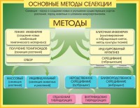Стенд "Методы селекции и биотехнологии" - fgospostavki.ru - Хабаровск