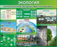 Стенд "Экология. Антропогенное воздействие на биосферу" - fgospostavki.ru - Хабаровск