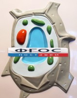 Модель барельефная "Растительная клетка" - fgospostavki.ru - Хабаровск