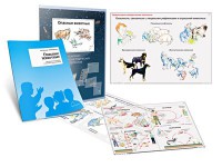 Комплект кодотранспарантов "Опасные животные" - fgospostavki.ru - Хабаровск