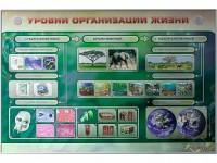 Электрифицированный стенд "Уровни организации жизни" - fgospostavki.ru - Хабаровск