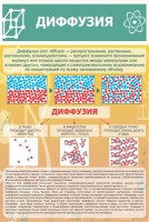 Стенд "Диффузия" - fgospostavki.ru - Хабаровск