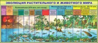 Стенд "Эволюция растительного и животного мира" - fgospostavki.ru - Хабаровск