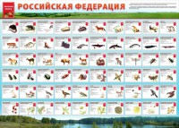 Стенд "Красная книга РФ" - fgospostavki.ru - Хабаровск