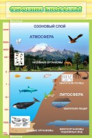 Стенд "Строение биосферы" - fgospostavki.ru - Хабаровск