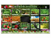 Комплект оборудования "Живой уголок" (растения) - fgospostavki.ru - Хабаровск
