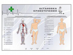 Электрифицированный стенд "Остановка кровотечения" - fgospostavki.ru - Хабаровск