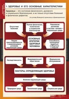 Комплект таблиц. ОБЖ. Здоровый образ жизни. - fgospostavki.ru - Хабаровск