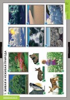 Комплект таблиц. Окружающий мир. Летние и осенние изменения в природе. - fgospostavki.ru - Хабаровск