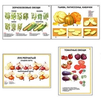 Плакаты ПРОФТЕХ "Ассортимент овощных культур" (12 пл, винил, 70х100) - fgospostavki.ru - Хабаровск