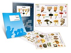 Комплект кодотранспарантов "Грибы" - fgospostavki.ru - Хабаровск