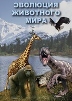 DVD "Эволюция животного мира" - fgospostavki.ru - Хабаровск