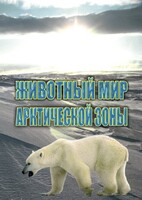 DVD "Животный мир Арктической зоны" - fgospostavki.ru - Хабаровск
