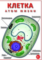 DVD "Клетка - "атом жизни" - fgospostavki.ru - Хабаровск