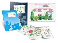 Комплект кодотранспарантов "Культурные растения" - fgospostavki.ru - Хабаровск