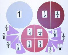 Набор магнитных карточек "Доли и дроби - 1" - fgospostavki.ru - Хабаровск
