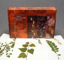 Гербарий для Начальной школы (28 видов) - fgospostavki.ru - Хабаровск