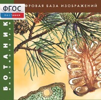 Ботаника. Микрофотографии. (Цифровая база изображений) - fgospostavki.ru - Хабаровск