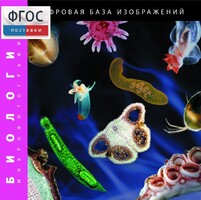 Биология. Микрофотографии. (Цифровая база изображений) - fgospostavki.ru - Хабаровск