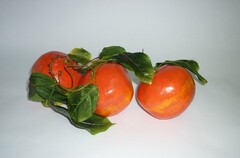 Ветка муляжей "Гранат" - fgospostavki.ru - Хабаровск