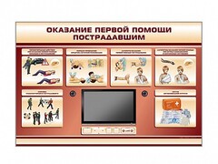 Многофункциональный интерактивный стенд-тренажер "Оказание первой помощи пострадавшим" для учащихся общеобразовательных учреждений - fgospostavki.ru - Хабаровск
