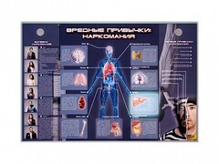 Электрифицированный стенд "Вредные привычки: наркомания" - fgospostavki.ru - Хабаровск