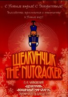 DVD "Щелкунчик. Волшебный мир балета" сказка-балет для детей - fgospostavki.ru - Хабаровск