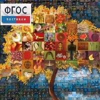 Начальная школа. Иностранный язык. (Цифровая база изображений) - fgospostavki.ru - Хабаровск