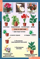 Комплект таблиц. Окружающий мир 1 класс. - fgospostavki.ru - Хабаровск