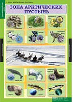 Комплект таблиц. Окружающий мир 4 класс. - fgospostavki.ru - Хабаровск