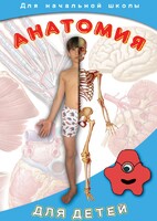 DVD "Анатомия для детей" - fgospostavki.ru - Хабаровск