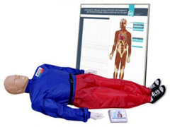 "Александр-01" тренажер-манекен взрослого пострадавшего для отработки приемов сердечно-легочной реанимации (голова, туловище, конечности) с контроллером и настенным табло - fgospostavki.ru - Хабаровск