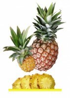 Комплект карточек "Запоминай, играй, считай" - Фрукты - fgospostavki.ru - Хабаровск